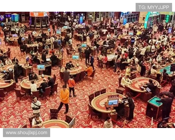 澳门新葡京赌场网站游戏种类丰富多样，满足不同玩家需求